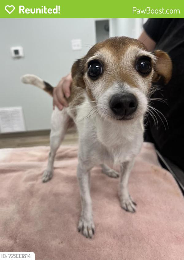 Reunited Female Dog last seen Northpointe Pkwy & Grandpointe Pl, Pensacola, FL 32514