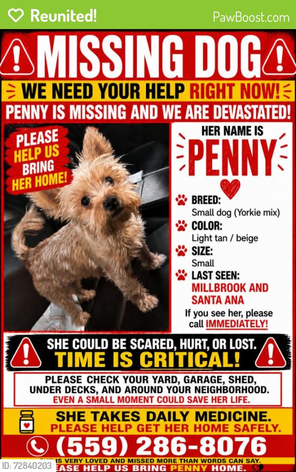Reunited Female Dog last seen N Millbrook Ave & E Santa Ana Ave, Fresno, CA 93726, USA, Fresno, CA 93726