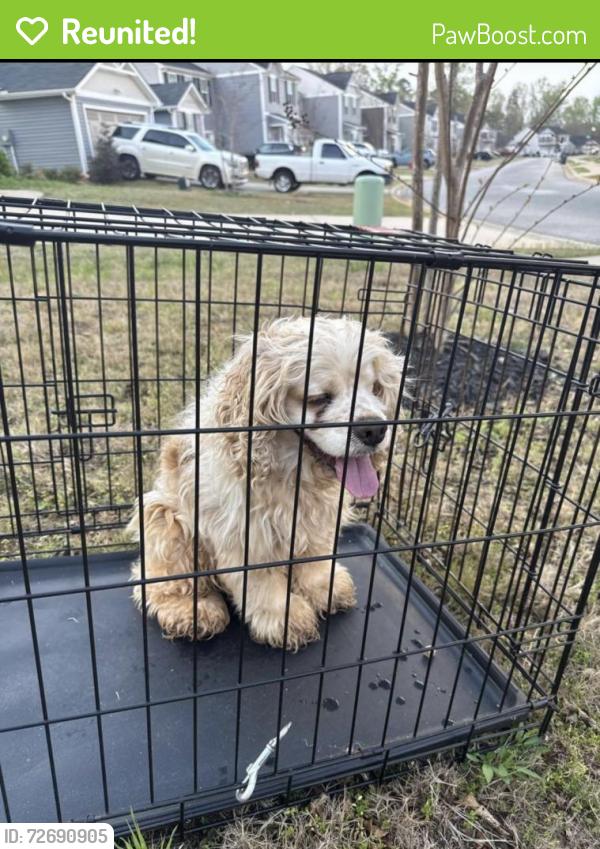 Reunited Male Dog last seen Shiloh farm neighborhood , Lyman, SC 29365