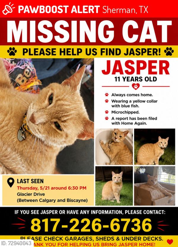 Lost Male Cat last seen South Glacier Drive at Calgary, Sherman, TX 75092