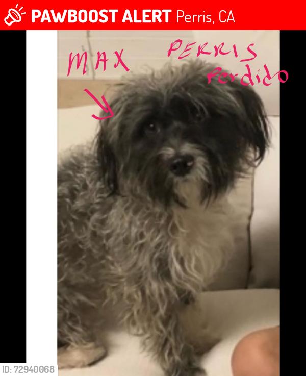Lost Male Dog last seen Perris, Perris, CA 92572