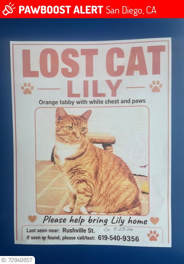 Lost Female Cat last seen Rushville St., La Jolla, San Diego, CA 92037