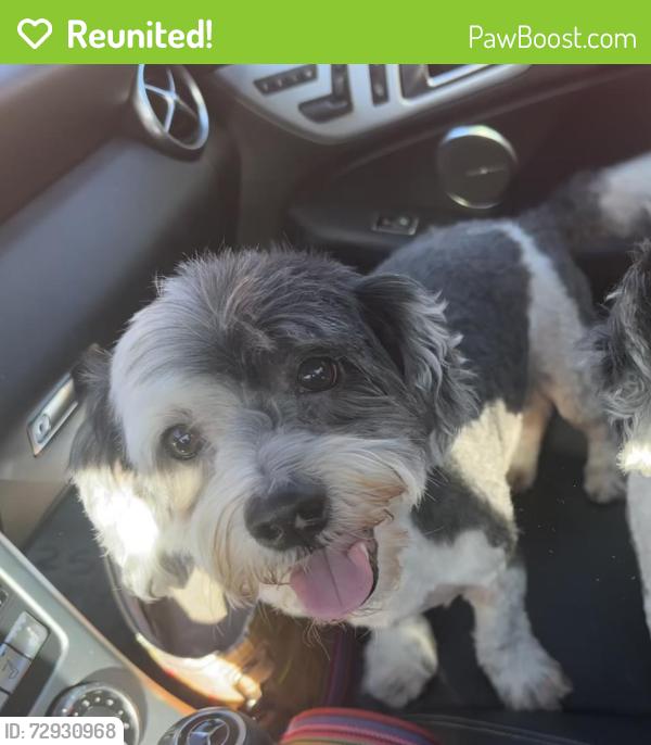 Reunited Male Dog last seen Moss rose , Boerne, TX 78006