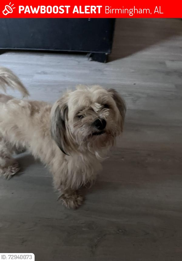 Lost Male Dog last seen Ruby drive , Birmingham, AL 35206