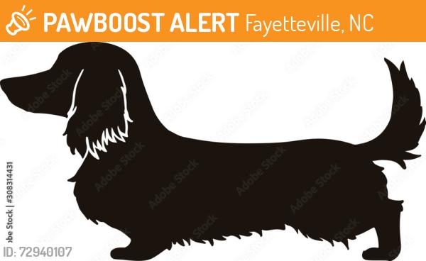 Found/Stray Unknown Dog last seen Sandridge dr, Fayetteville, NC 28314
