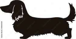 Found/Stray Unknown Dog last seen Sandridge dr, Fayetteville, NC 28314