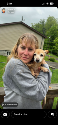 Reunited Female Dog last seen View Street, Miller Road, Albright Road, Kingwood, WV 26537