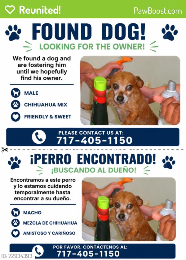 Reunited Male Dog last seen Lake Bluff dr & Lark spur , Flower Mound, TX 75028