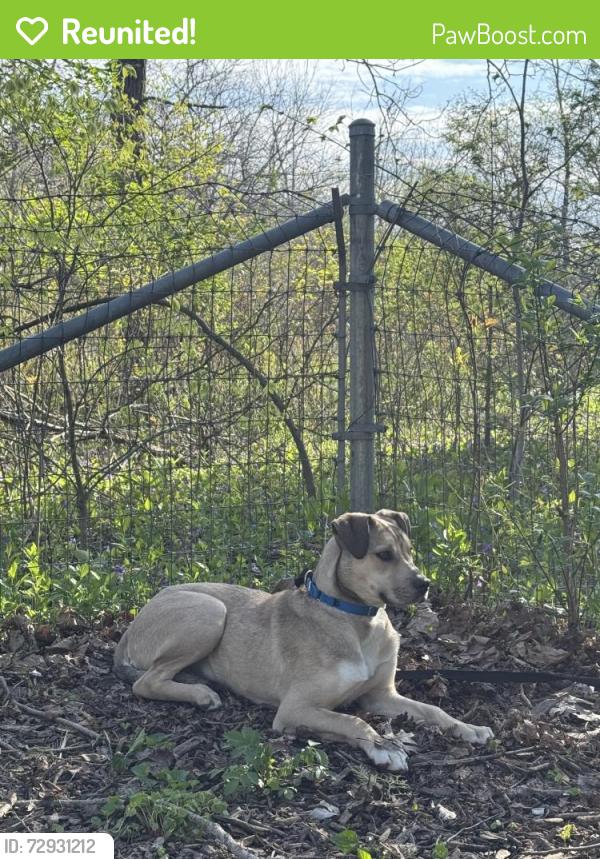 Reunited Male Dog last seen Near s burrel st , Milwaukee, WI 53207