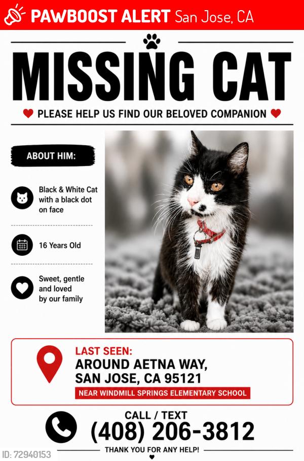 Lost Male Cat last seen Aetna way San Jose ca , San Jose, CA 95121