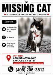 Lost Male Cat last seen Aetna way San Jose ca , San Jose, CA 95121