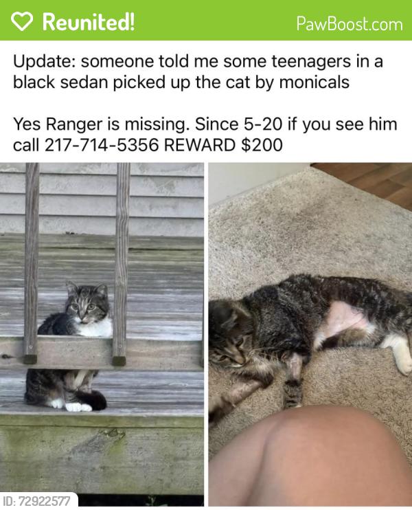 Reunited Male Cat last seen Monical’s, Tolono, IL 61880