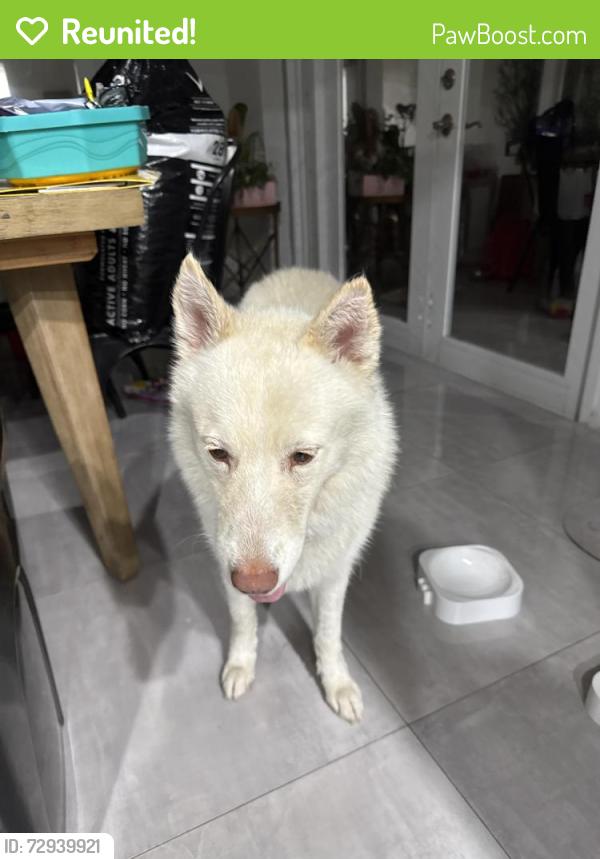 Reunited Unknown Dog last seen 34th Ave, Fort Lauderdale, FL 33312
