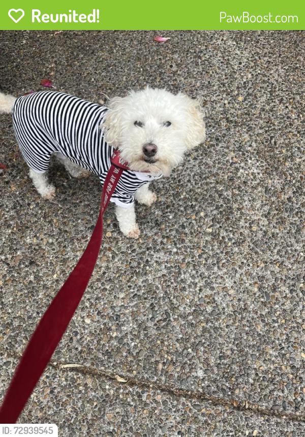 Reunited Male Dog last seen Titan Dr NW , Salem, OR 97304