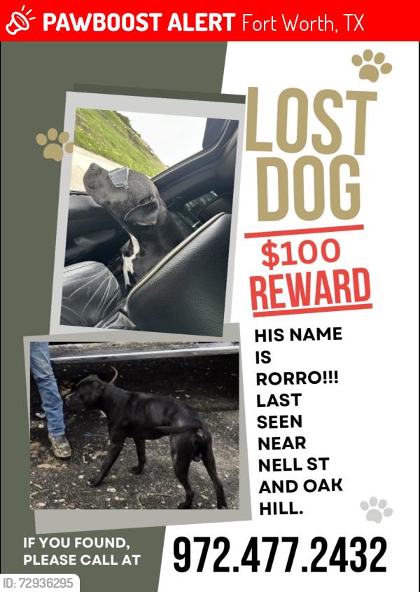Lost Male Dog last seen Near Nell St Ft Worth Tx76119, Fort Worth, TX 76119