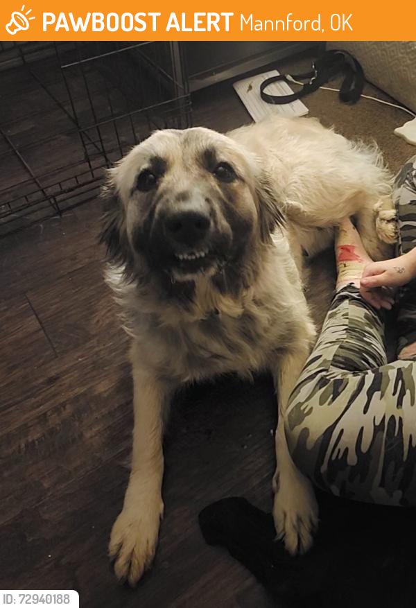Found/Stray Female Dog last seen Water plant, Mannford, OK 74044
