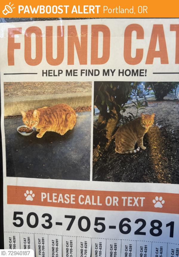 Found/Stray Unknown Cat last seen Sunflower apmts , Portland, OR 97223