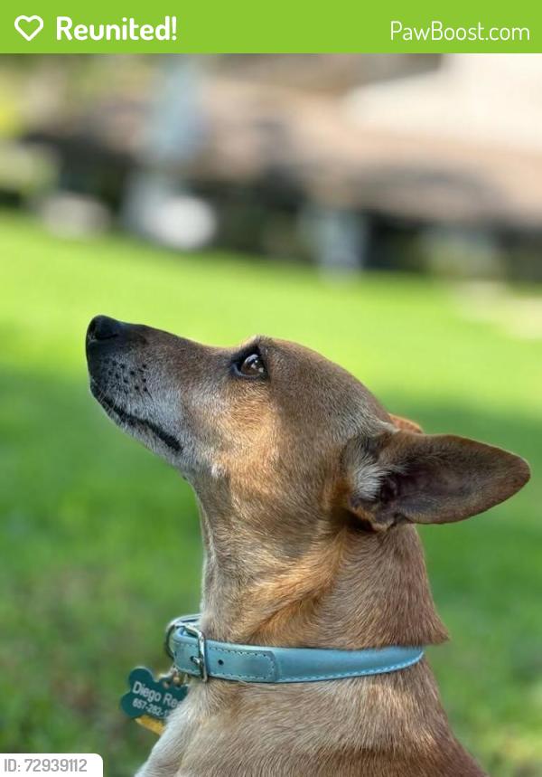 Reunited Male Dog last seen Nohl Ranch and Serrano, Orange, CA 92865
