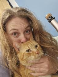 Reunited Male Cat last seen Township Rd and S. Tryon Street, Charlotte, NC 28273