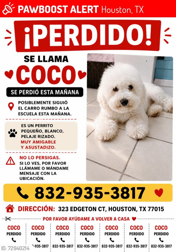 Lost Male Dog last seen Sherwood oaks dr, Houston, TX 77015
