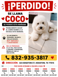 Lost Male Dog last seen Sherwood oaks dr, Houston, TX 77015