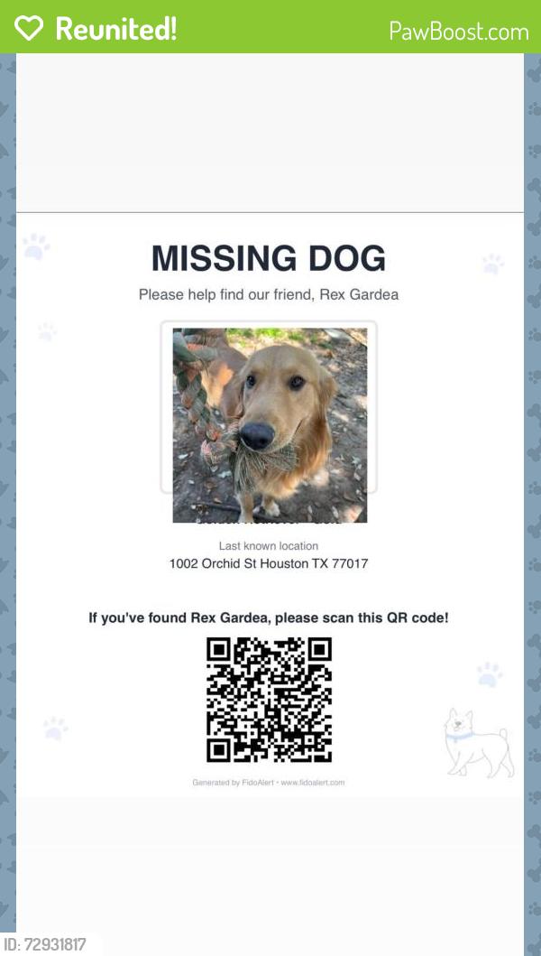 Reunited Male Dog last seen Near orchid st , Houston, TX 77017