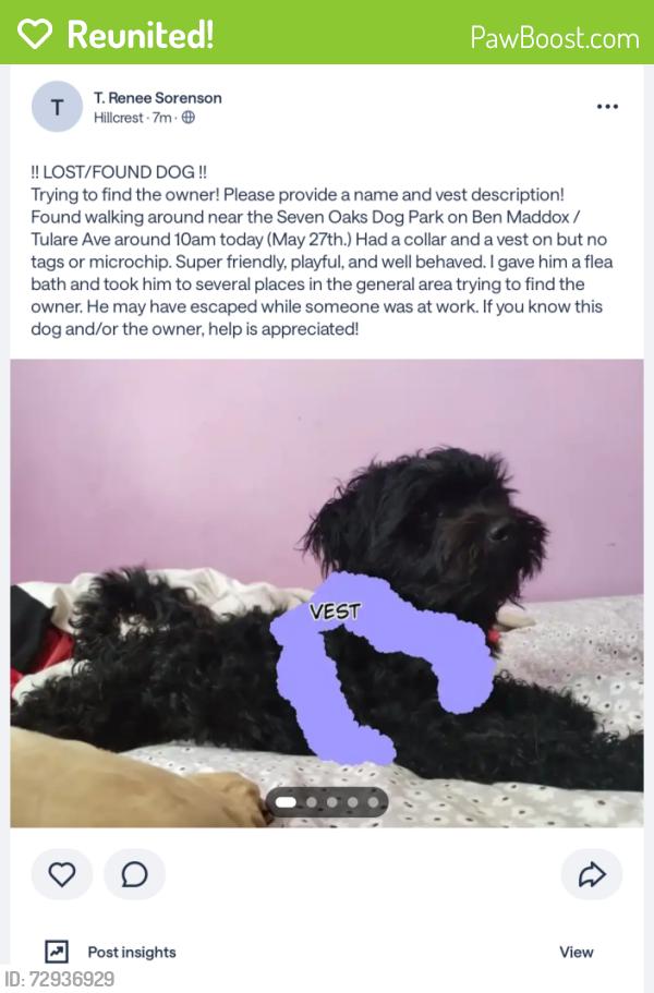 Reunited Male Dog last seen S. Hillcrest Dr. and Pinkham, Visalia, CA 93277