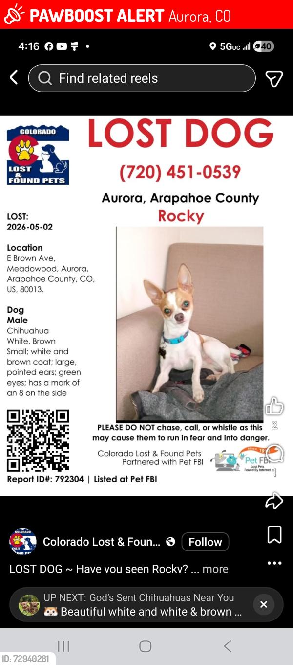 Lost Male Dog last seen White hse, Aurora, CO 80013