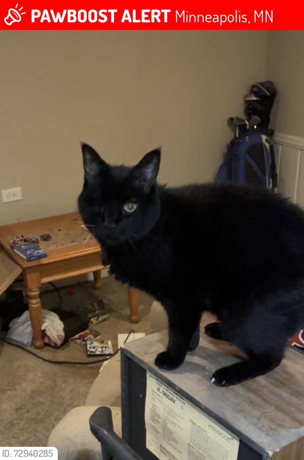 Lost Male Cat last seen 38th Ave and Boardman St, Minneapolis, MN 55417