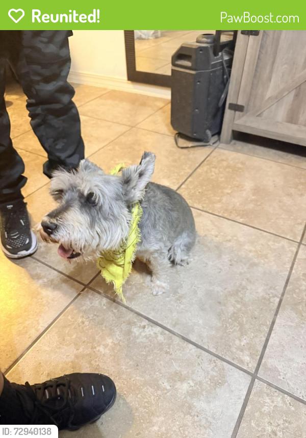Reunited Male Dog last seen Edgemere and Alton oaks, El Paso, TX 79938