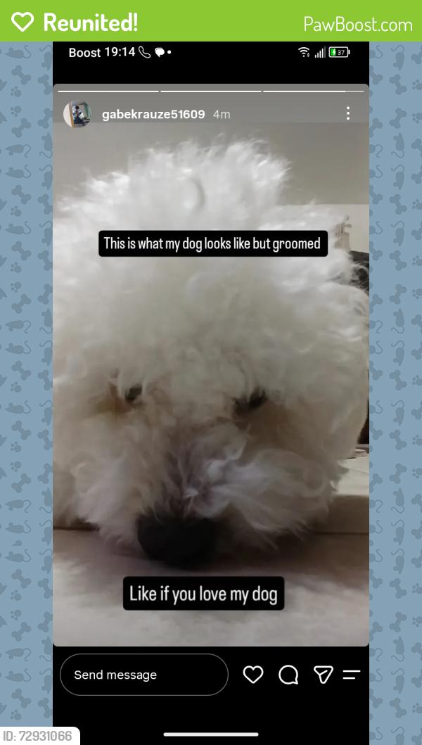 Reunited Male Dog last seen W Supai DR, Goodyear, AZ 85338