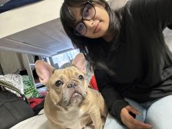 Reunited Female Dog last seen San Ysidro blvd , San Diego, CA 92173