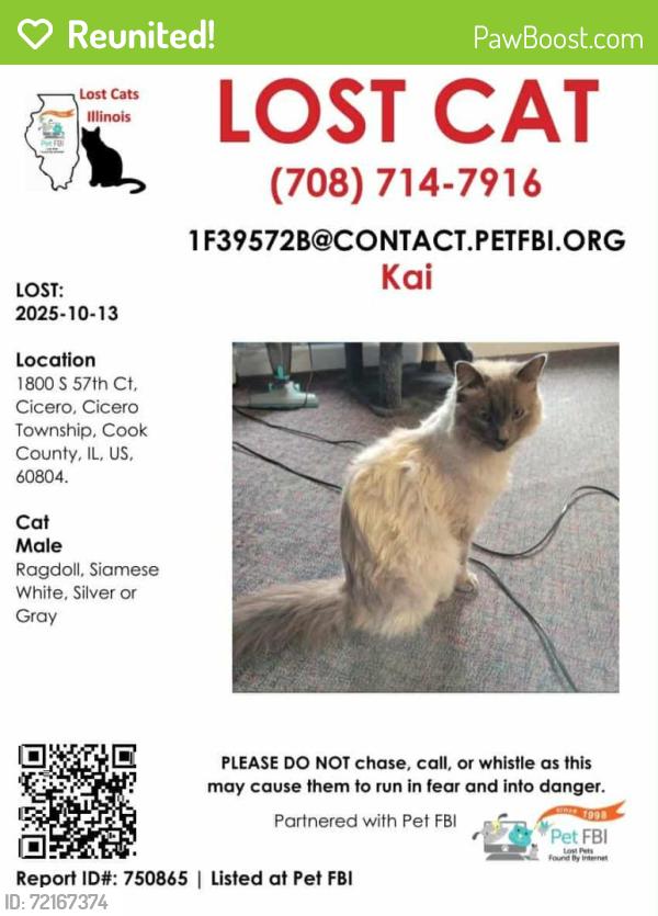 Reunited Male Cat last seen 18st and 57th ct, Cicero, IL 60804