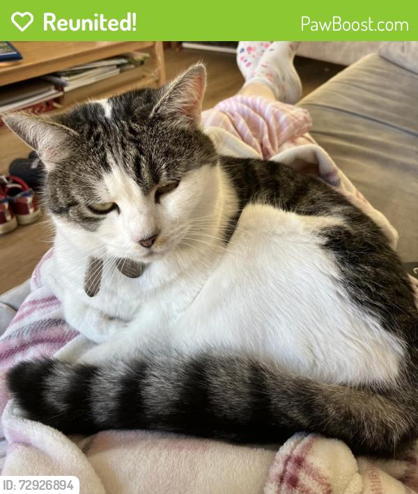 Reunited Female Cat last seen Tranby School, Anlaby, East Riding of Yorkshire, England HU10 7FP