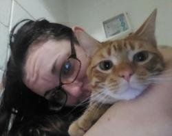 Lost Male Cat last seen Gaslight Lane Star City, AR, Star City, AR 71667