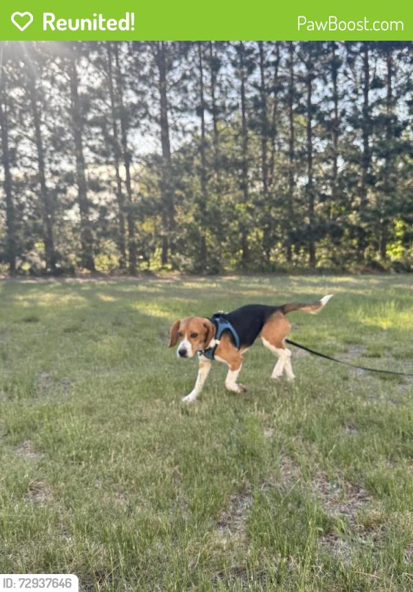 Reunited Male Dog last seen Bethel Haunted Forest, East Bethel, MN 55005