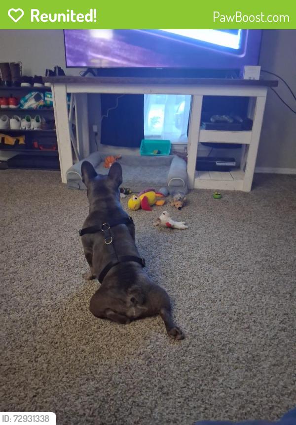 Reunited Unknown Dog last seen NW 39th St, Warr Acres, OK 73122