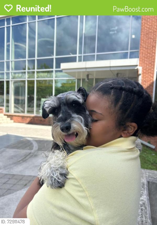 Reunited Male Dog last seen Reservoir street, Baltimore, MD 21217