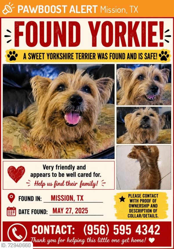Found/Stray Male Dog last seen Shipleys donut, Mission, TX 75872
