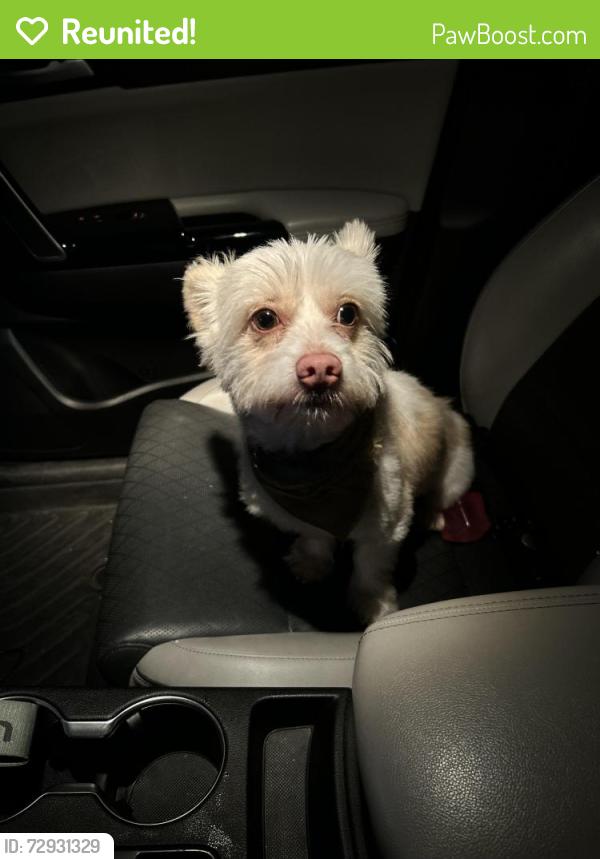 Reunited Male Dog last seen Rogers Rd. In between Sugar and Bus. 281, Edinburg, TX 78541