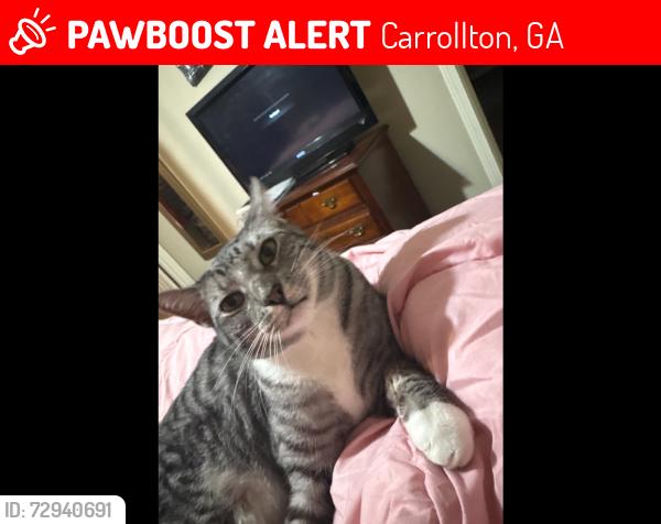 Lost Male Cat last seen Matt’s Mobile Repair, Carrollton, GA 30117
