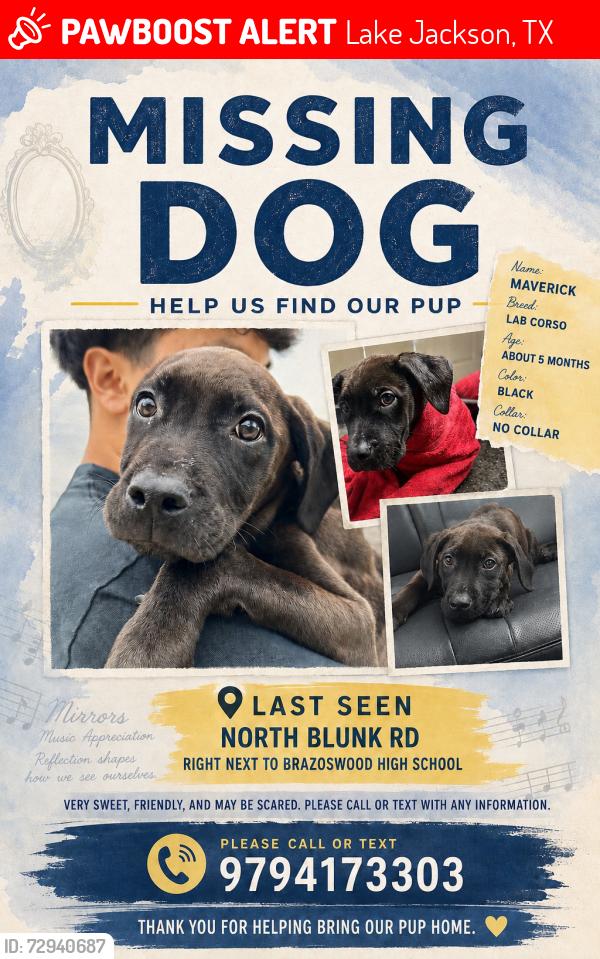 Lost Male Dog last seen North Blunk Rd , Lake Jackson, TX 77566