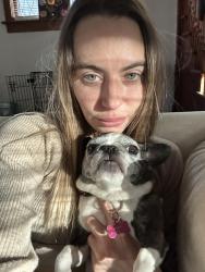 Lost Female Dog last seen Scarritt and North Hardesty, Kansas City, MO 64123