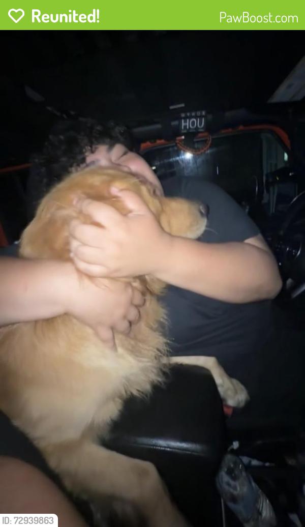 Reunited Male Dog last seen Near orchid St, Houston, TX 77017