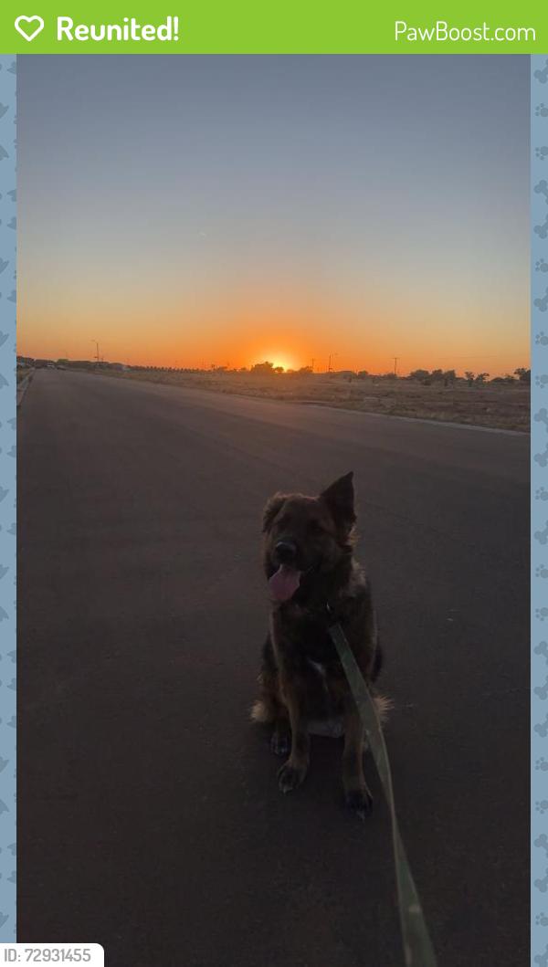 Reunited Male Dog last seen Springtown park, Springtown, TX 76082