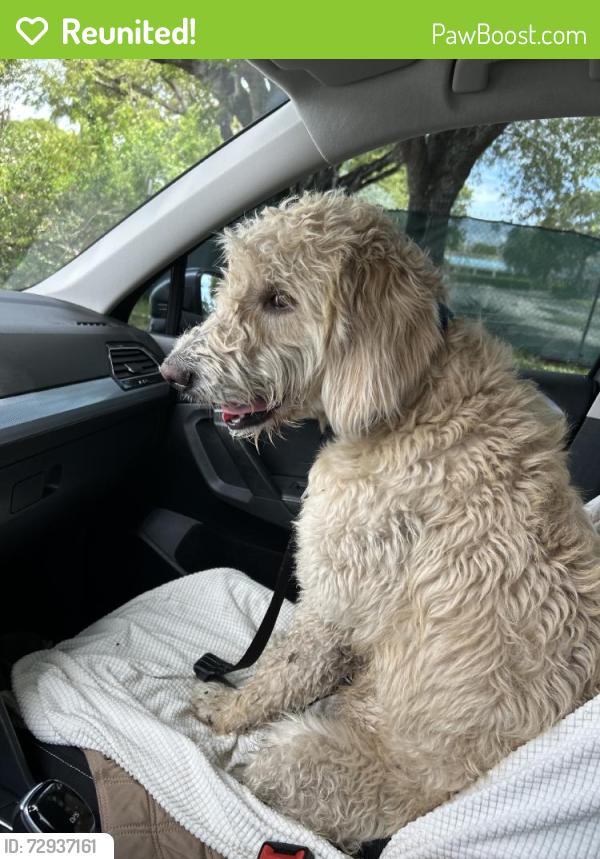 Reunited Male Dog last seen Near NW 9th Ct, Pompano Beach, FL 33069, USA, Pompano Beach, FL 33069