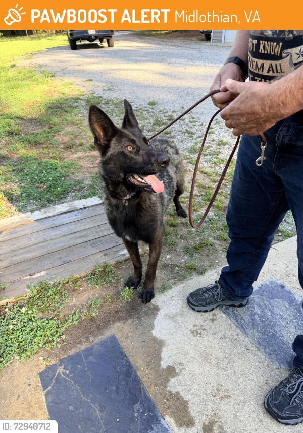 Found/Stray Male Dog last seen Huguenot Trail near 288, Midlothian, VA 23113