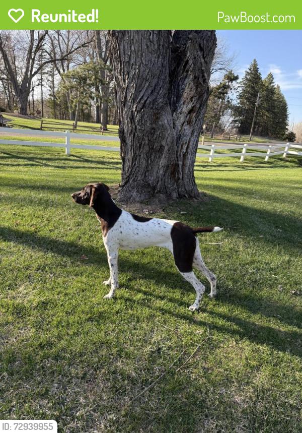Reunited Female Dog last seen Near the Spectrum sports fields in Ramsey., Ramsey, MN 55303