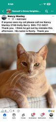 Reunited Male Cat last seen Norris Freeway, Knoxville, TN 37938