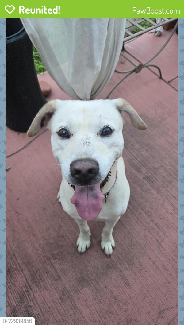 Reunited Male Dog last seen Near E McDermott Dr, Allen, TX 75002, Allen, TX 75002